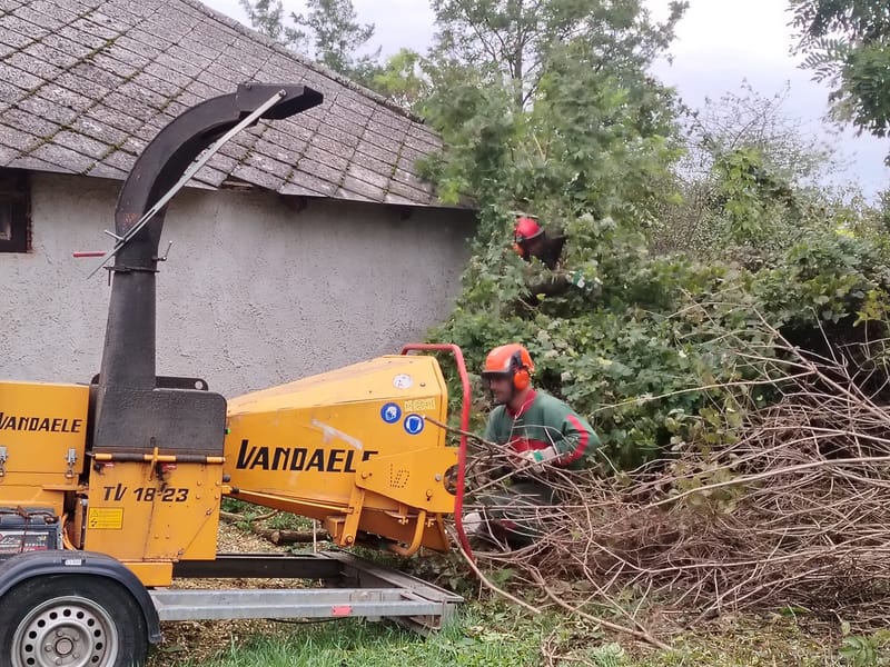 Egy nap, a takarítás jegyében!
