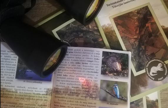 Pályázati támogatás a Nemzeti Együttműködési Alap által