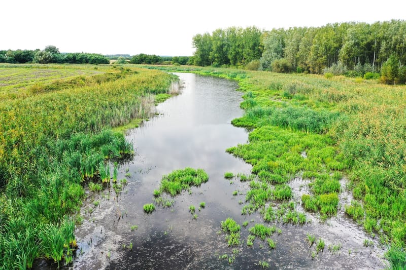 Bodrogközi holtágak felmérése