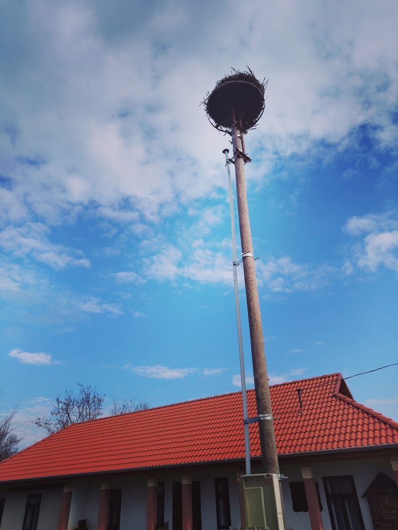 Gólyafészek kihelyezése!