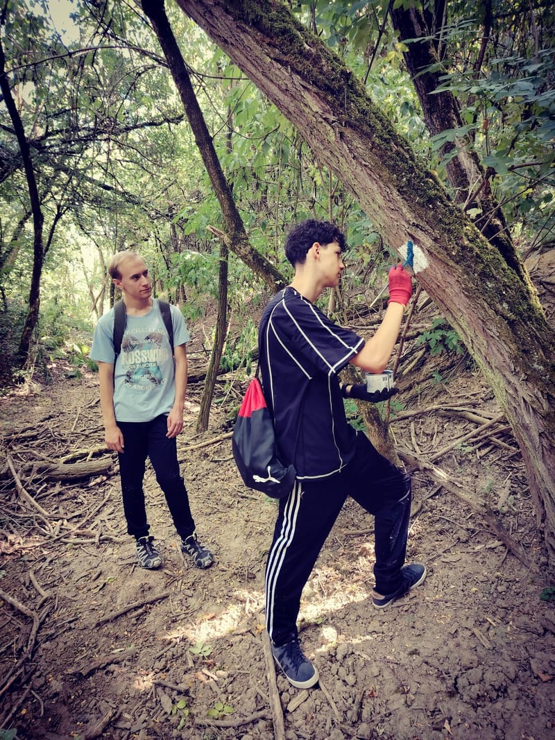 Jelzés felújítás!