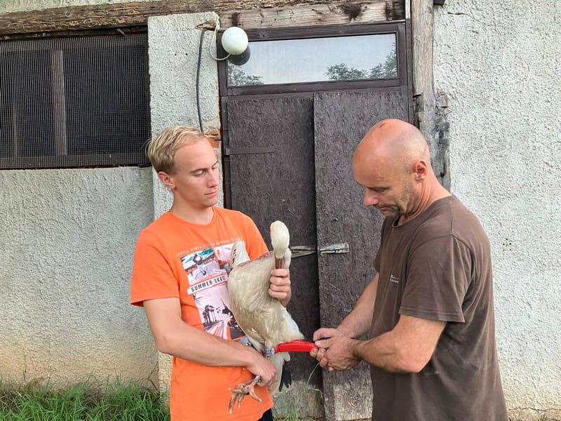 Természetes környezetben a végső búcsúig!