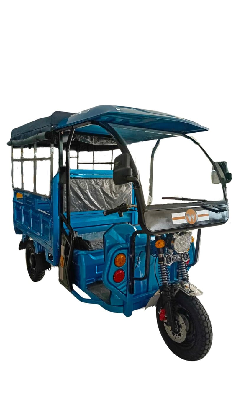 MINI CARGO (3 WHEELS)