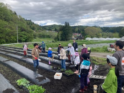 🌱農食育イベント第１回開催！🍠🍅🥕