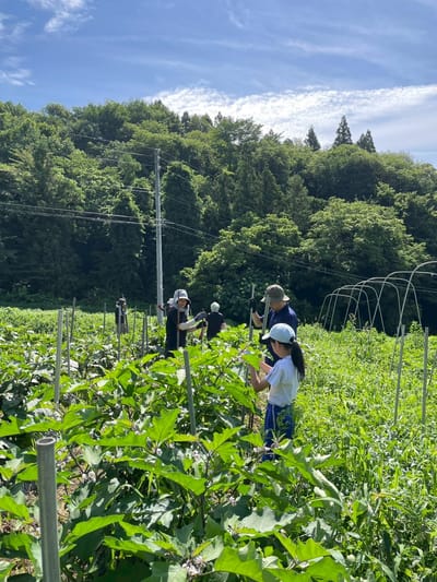 🌱農食育イベント 第3回レポート！（7/19開催）