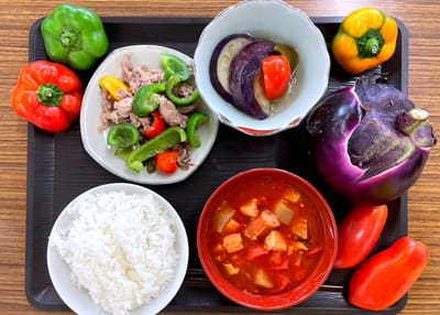 🌟農食育イベント第4回 ”みんなのやさい大作戦！” レポート②