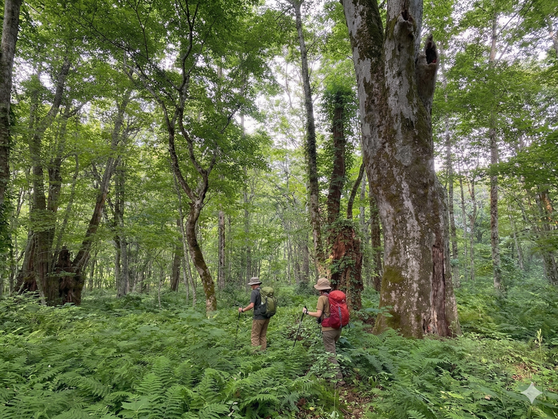 食をめぐる冒険　第１章「山をめぐる」