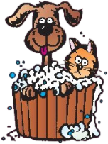 DFW ALL PAWS AND GROOMING