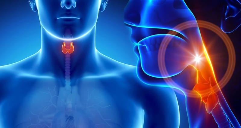 Endocrinologie