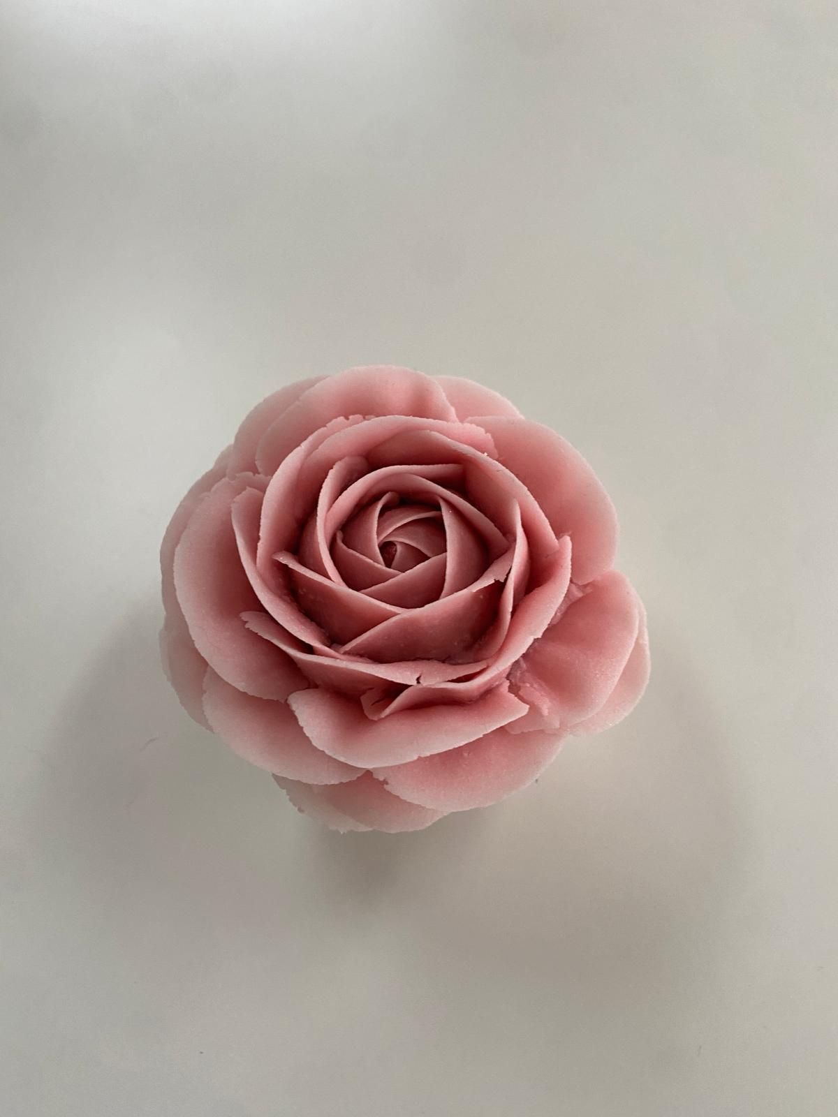 Lovely Rose