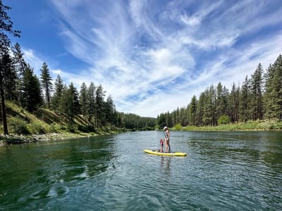 Reflections on a River