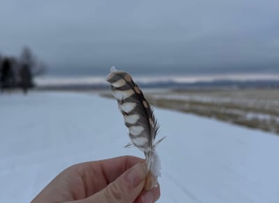 On The Things We Kept