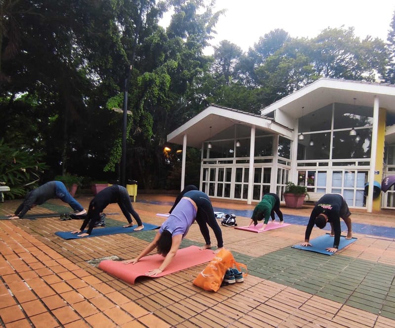 Yoga online e presencial