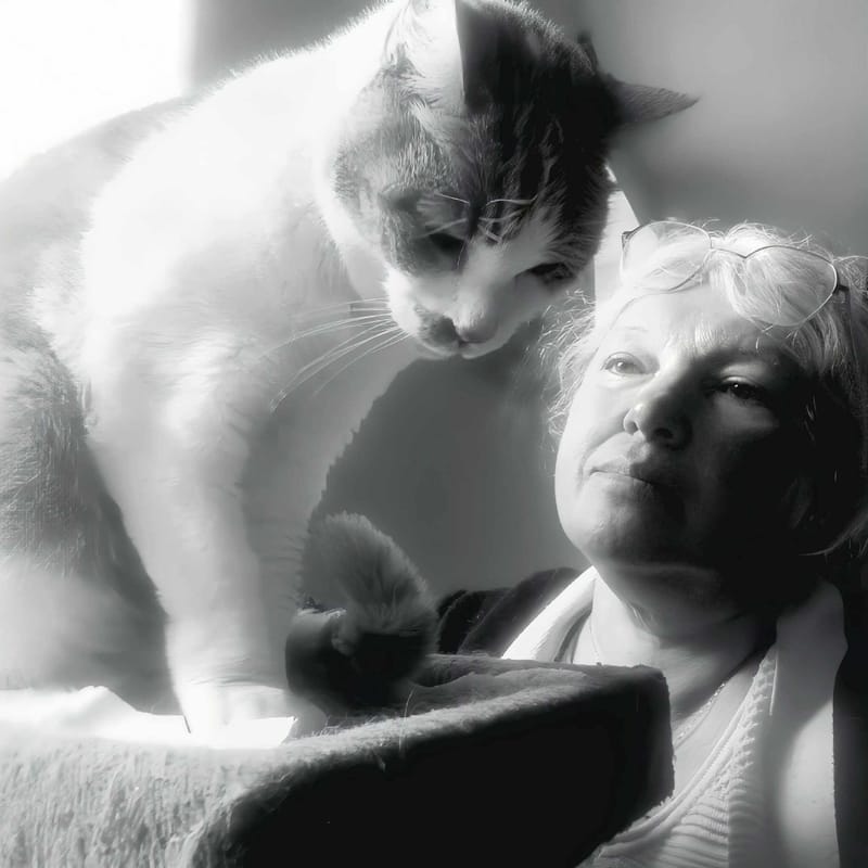 Quand faire appel à un vétérinaire comportementaliste?