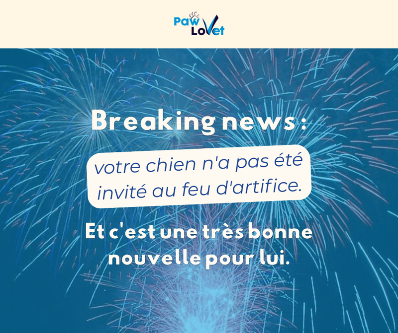 Le feu d'artifice et toutes les fêtes!!