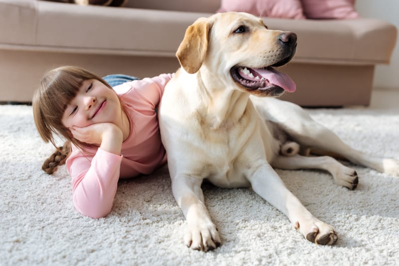 Programme PECCRAM, apprendre aux enfants les signaux de communication des chiens
