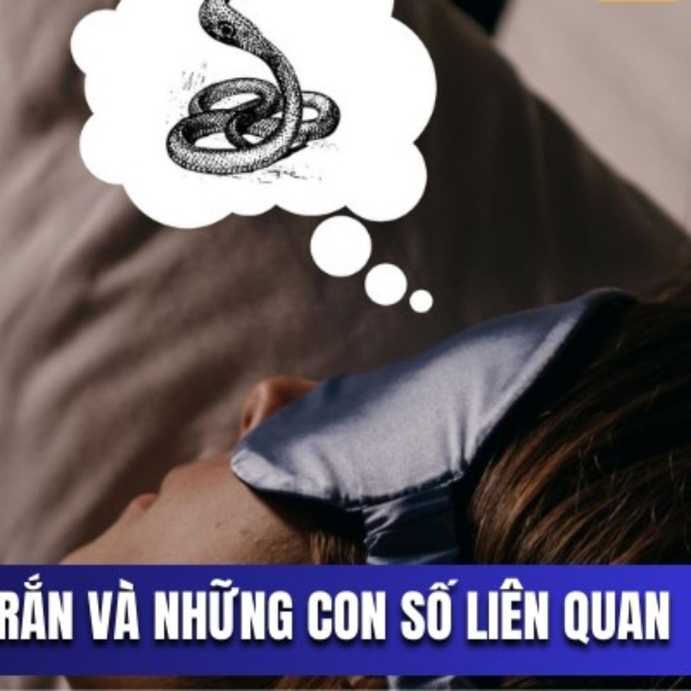 Nằm Mơ Thấy Rắn Và Những Con Số Liên Quan – Bí Quyết Chọn Số May Mắn