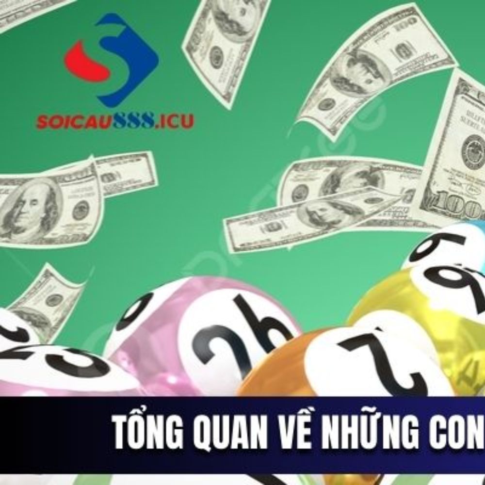 Lô Chơi Nhiều Hôm Nay Tại Soicau888 – Bí Quyết Chọn Số Hiệu Quả