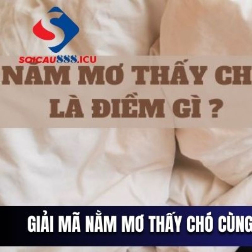 Nằm Mơ Thấy Chó Cùng Và Con Số May Mắn – Giải Mã Ý Nghĩa