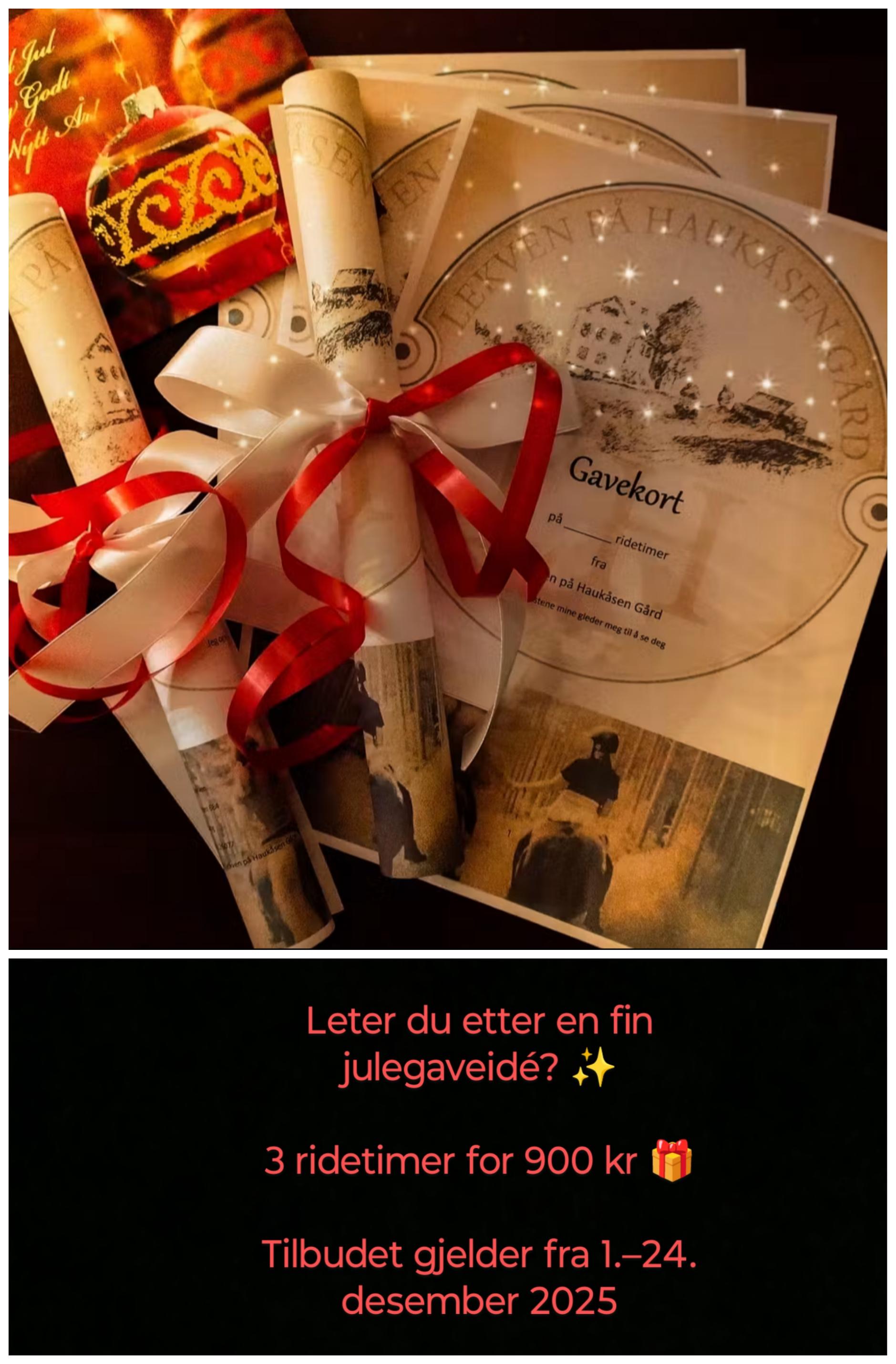 ✨ Julegave ✨