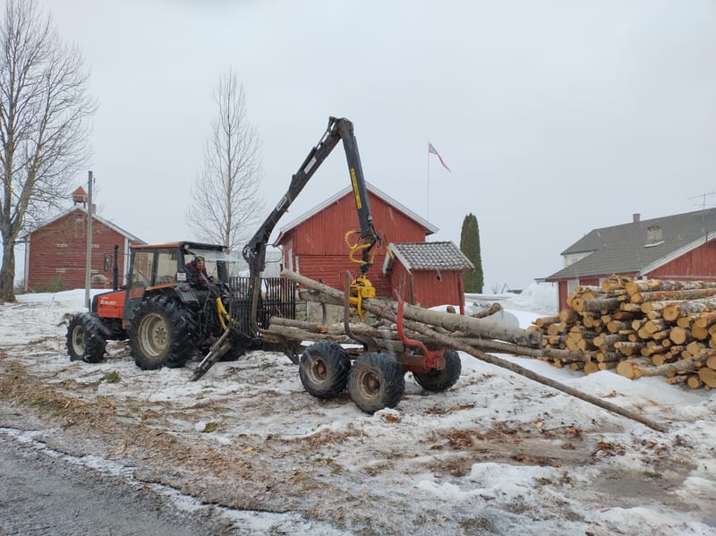 Skogbruksarbeid/rydding