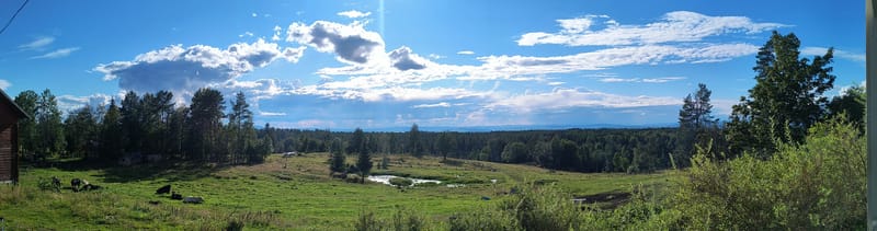 Hestebarnehagen og Sommerbeite