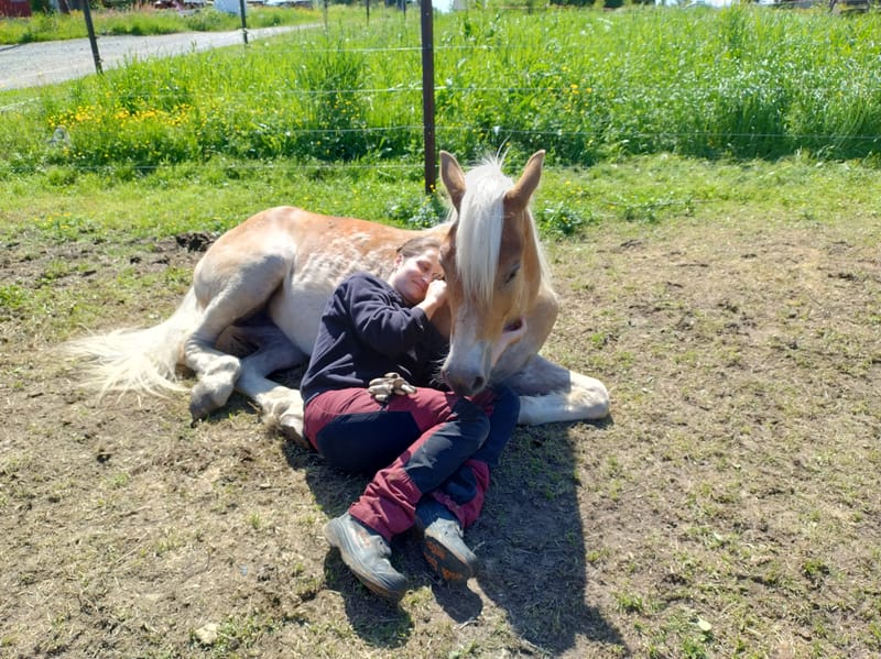 Hestebarnehagen og Sommerbeite