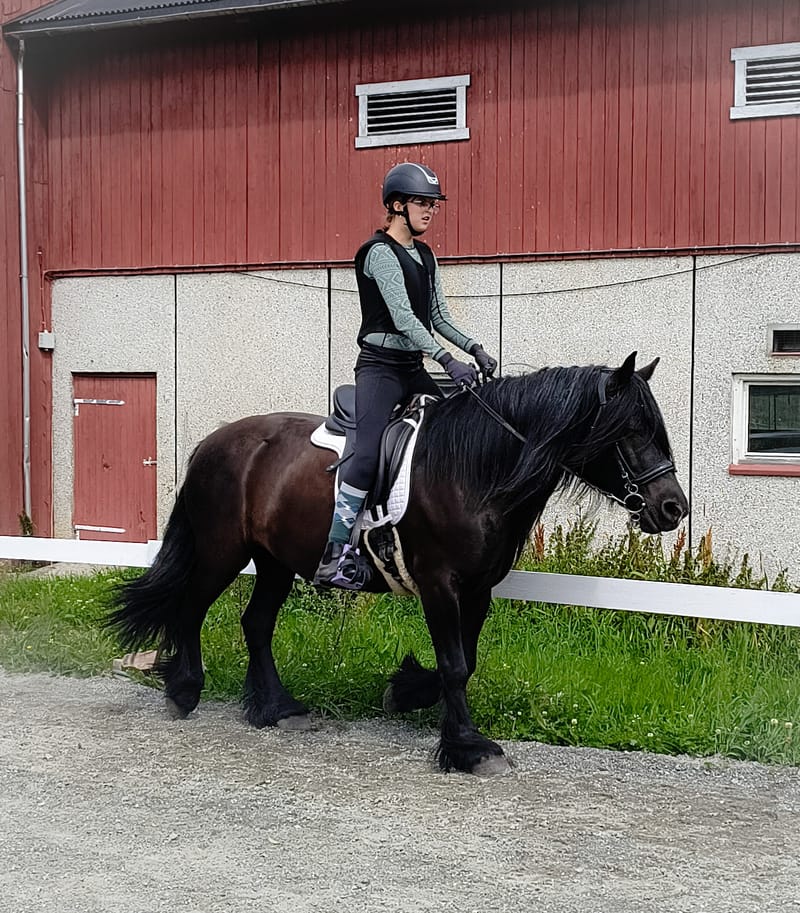Rideskole