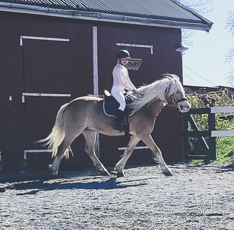 Rideskole
