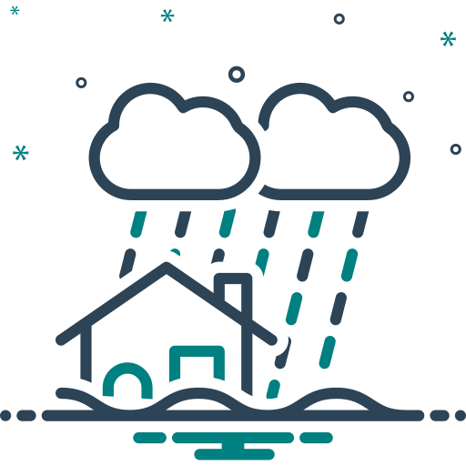 AI solutions for Disaster Risk Management (DRM)