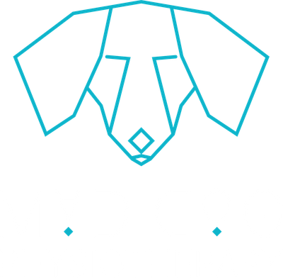 Mad Dog Physiotherapy