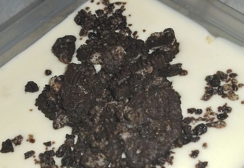 OREO CHEESEKUT