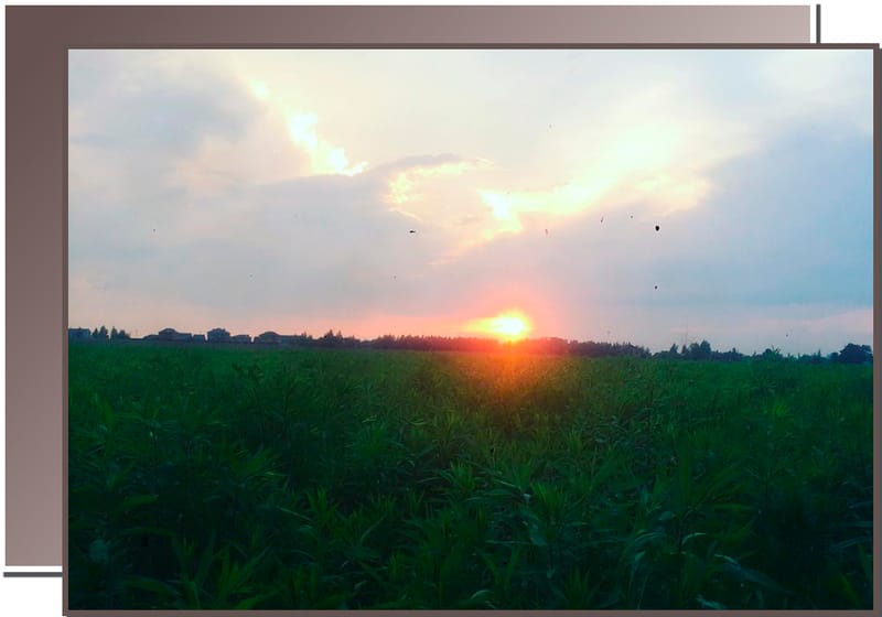 Предать самого себя