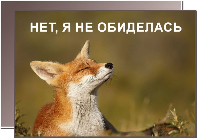 ПОЧЕМУ МЫ ТАК НЕ ЛЮБИМ ПРИЗНАВАТЬСЯ, ЧТО ОБИДЕЛИСЬ?