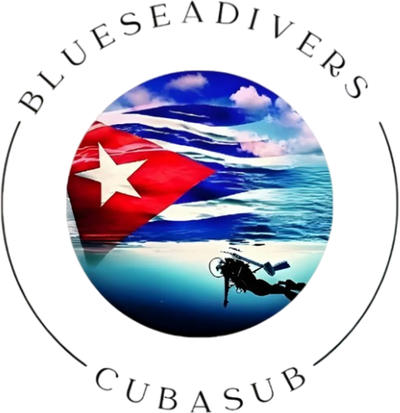 BlueSeaDiversCubaSub