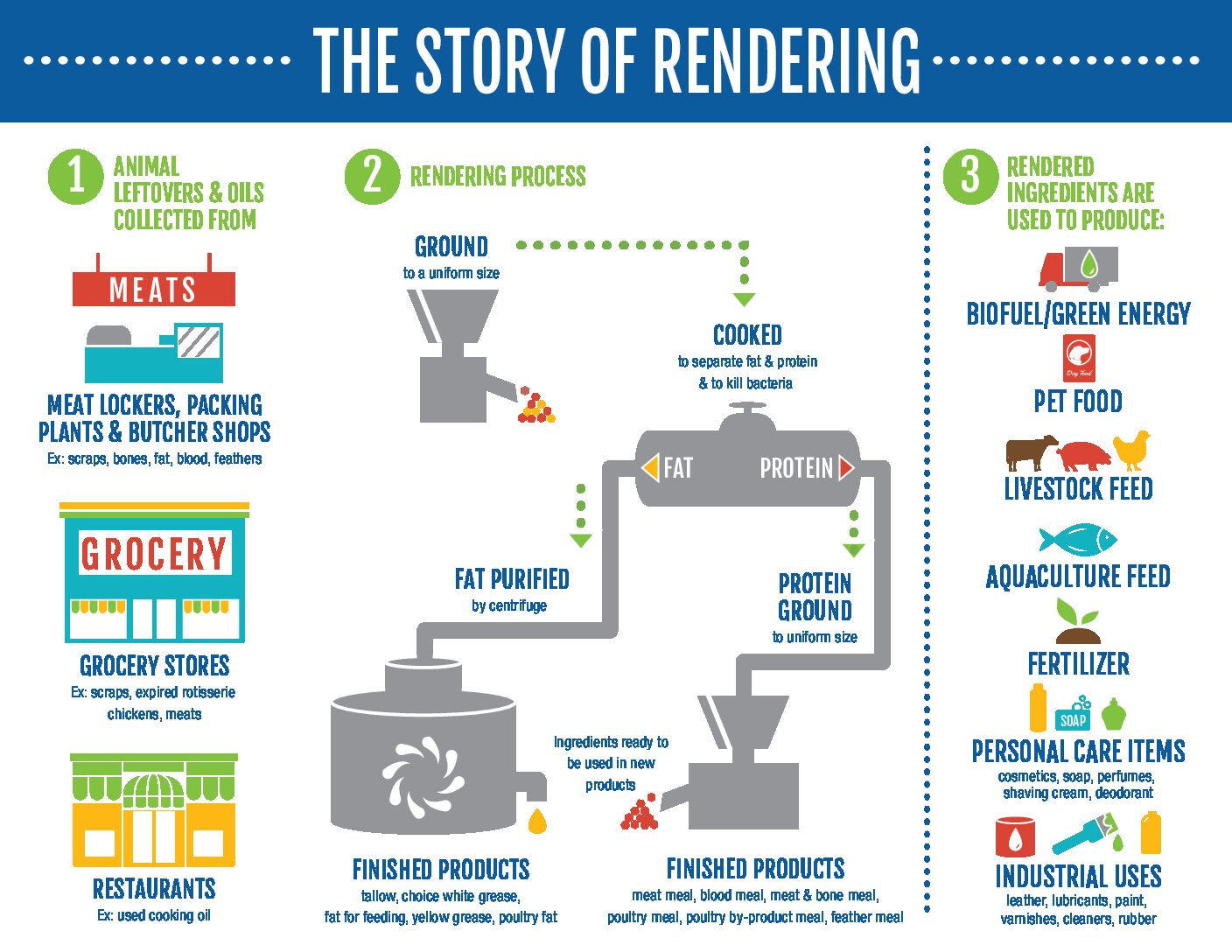 Proceso de Rendering: Qué Es y Por Qué Es Clave en la Producción de Harina de Carne