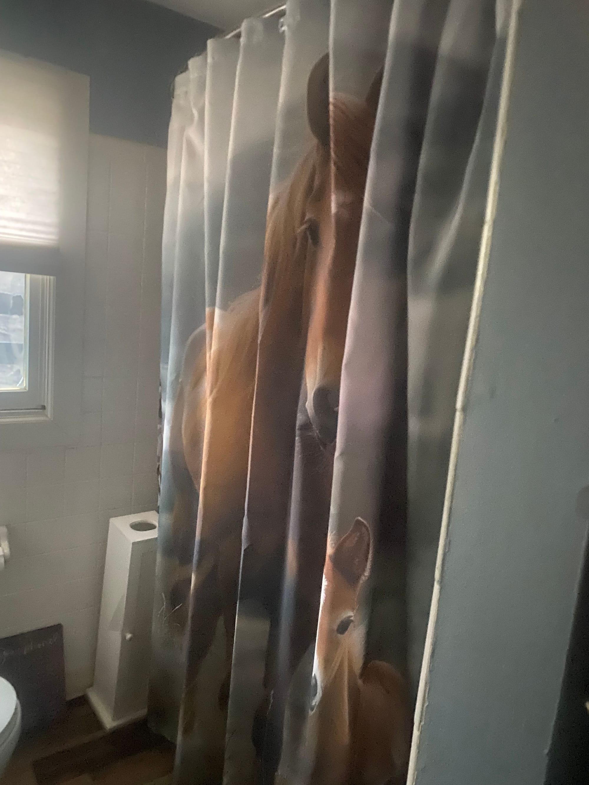 Bathroom- full size shower and tub