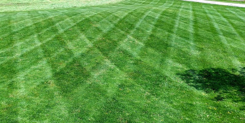 LAWN FERTILIZATION