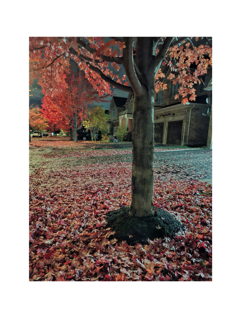 עוד וילון אחד יותר מדי