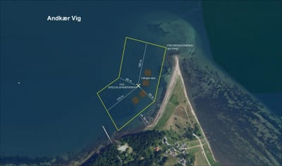 Stenrev i Ankær Vig