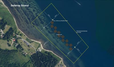 Stenrev Sellerup Strand