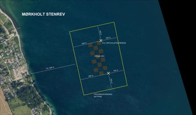 Stenrev ved Mørkholt