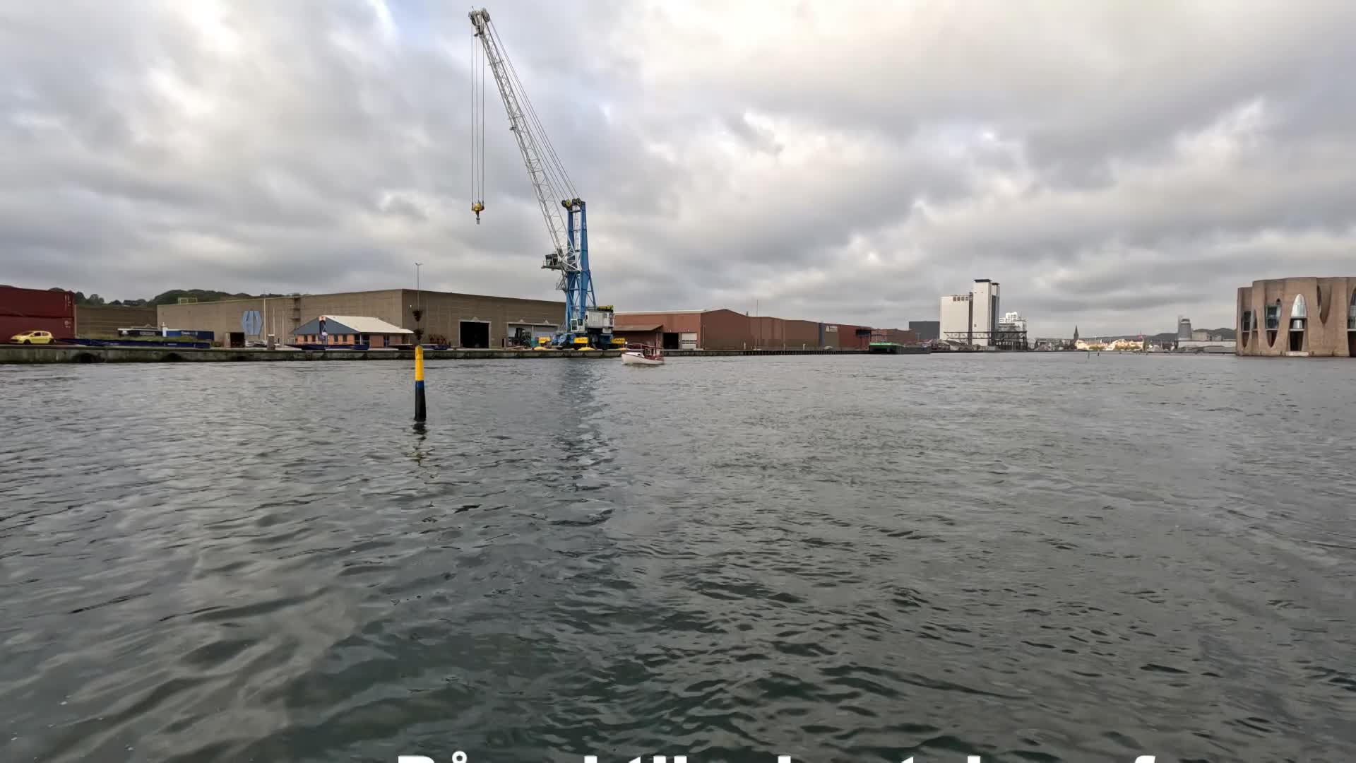 Udsat 6.000 ål i Vejle Fjord thumbnail
