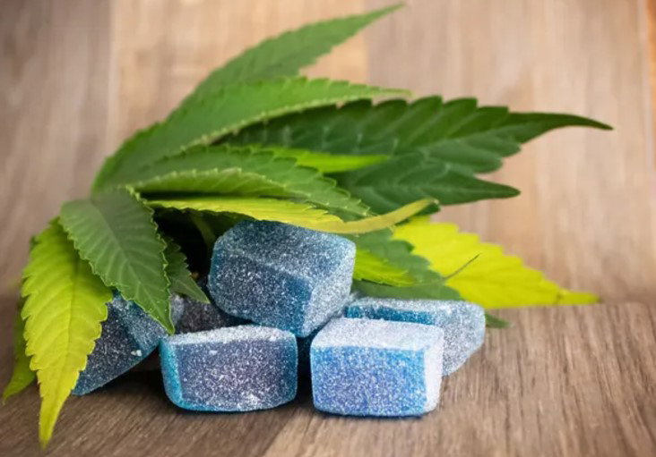 Navigating the Landscape of CBD Edibles Online