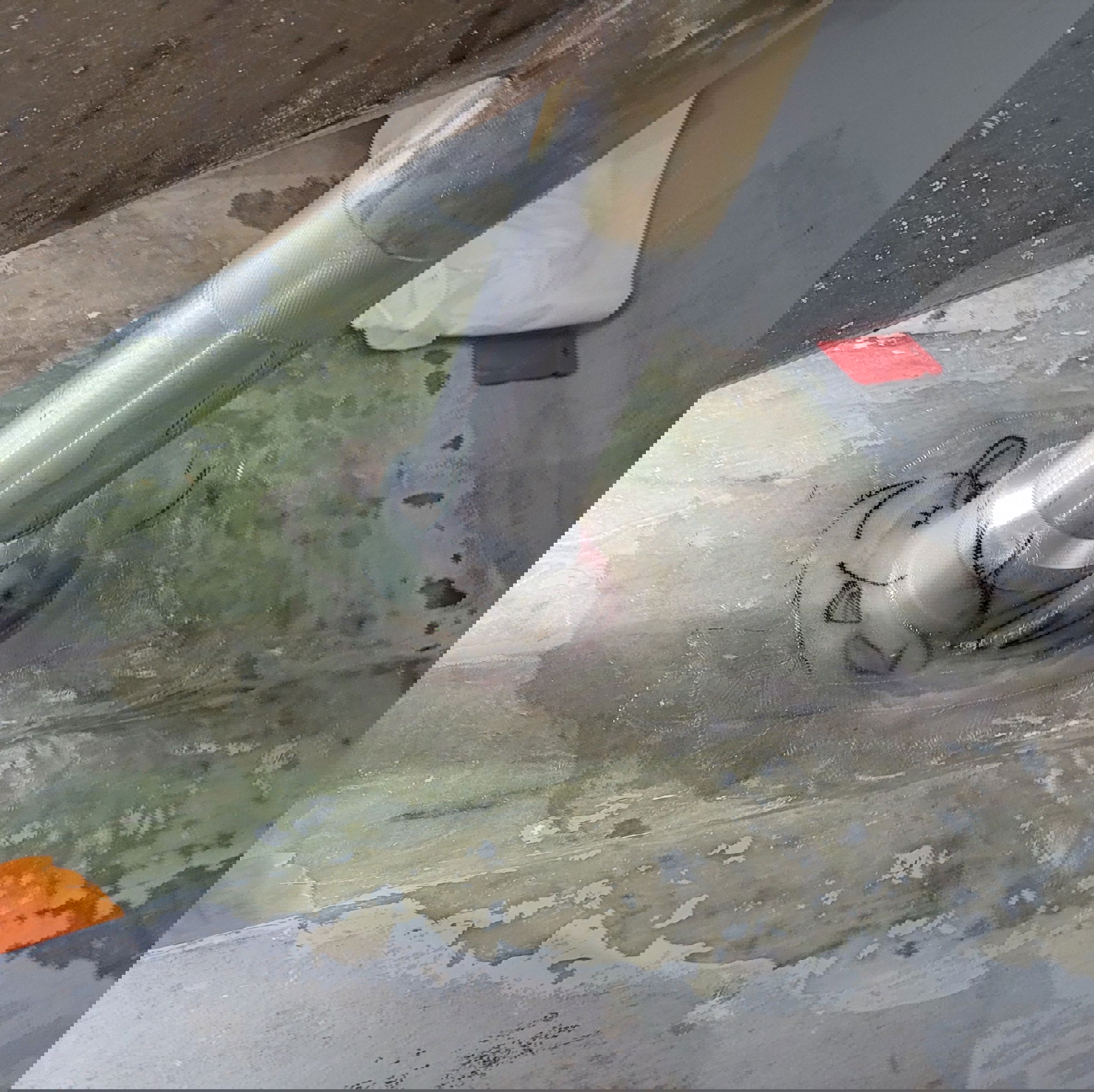 Canary Islands, 2024