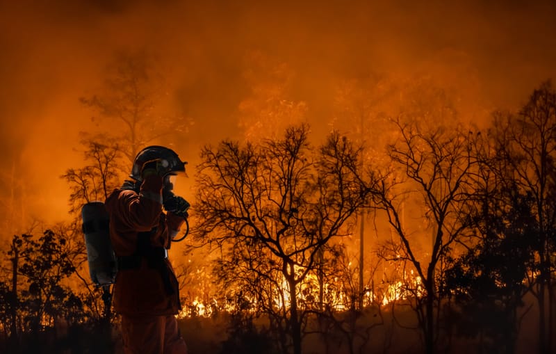 Wild Fires