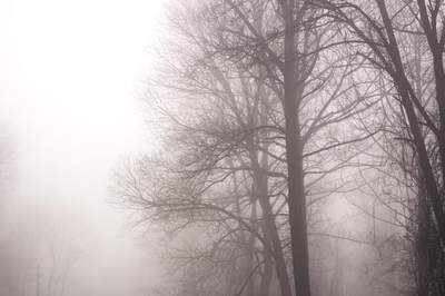 Gânduri sub norii fumurii