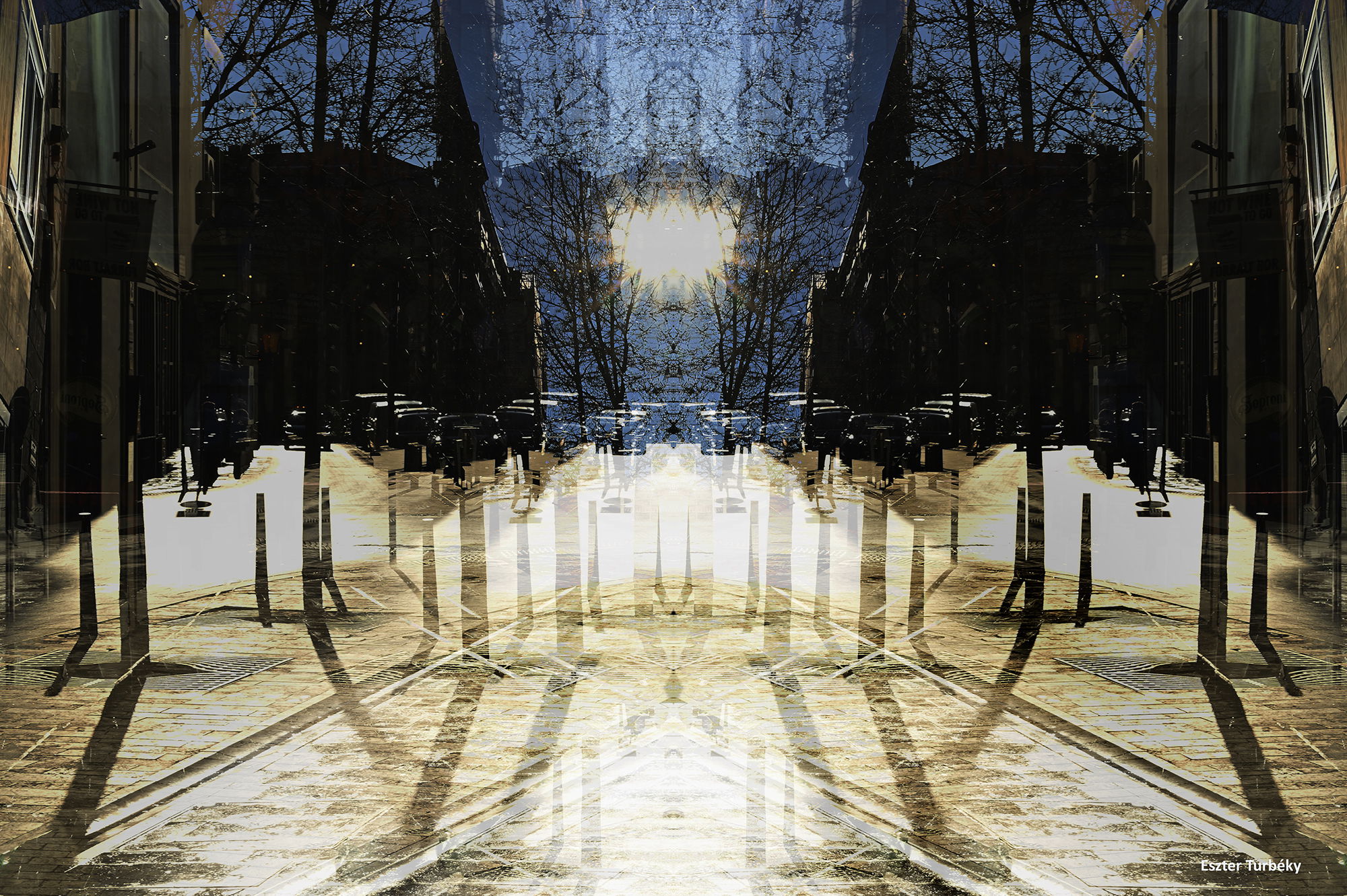 Backlight street 2026