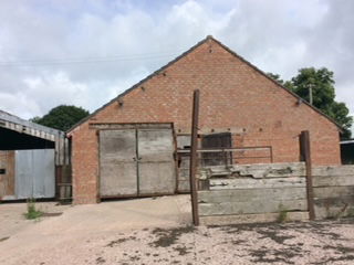 Before and After Pictures