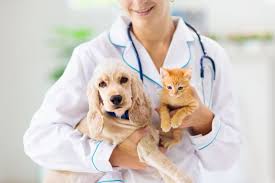 Health & Wellness Clinics